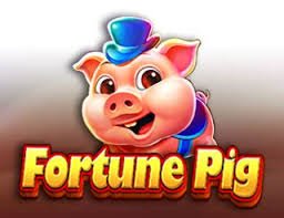 fogueirakf fogueirakf